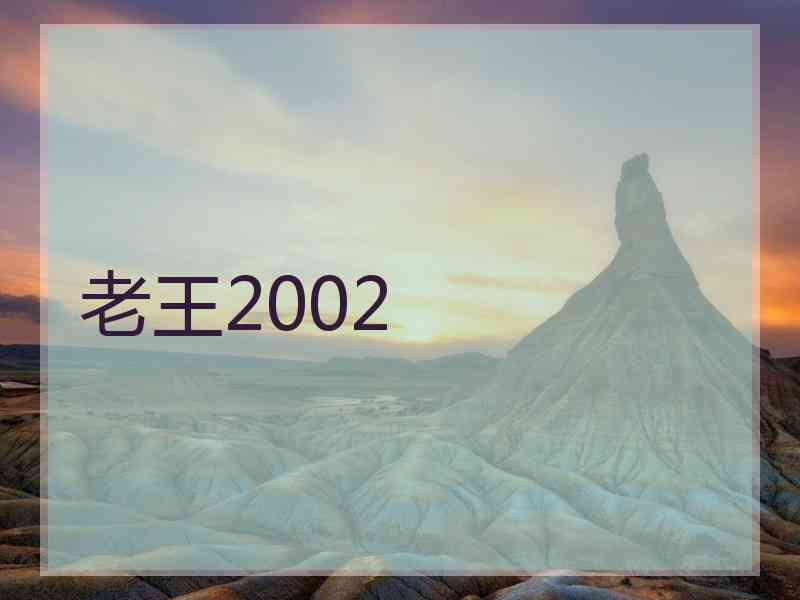 老王2002 老王2002