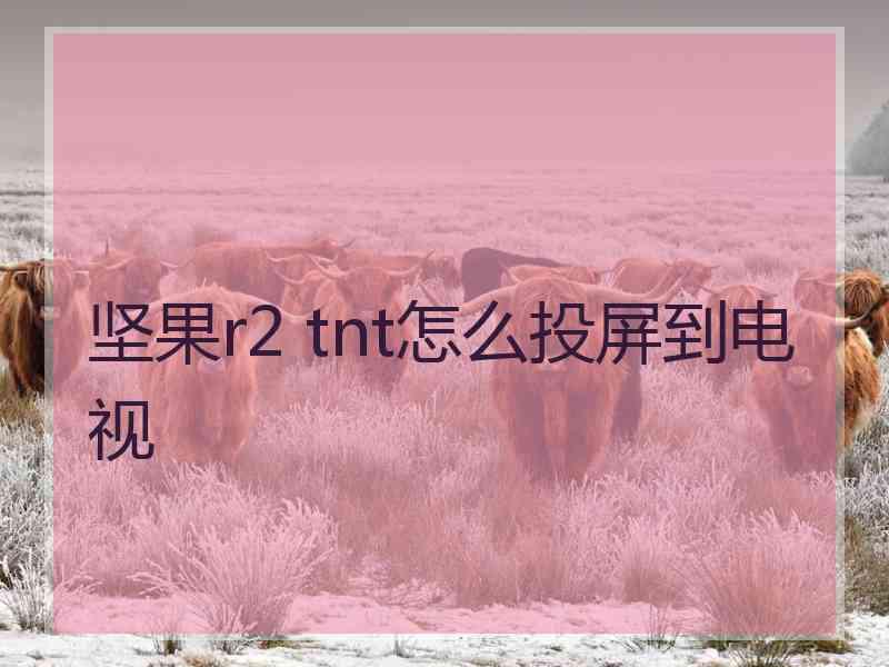 坚果r2 tnt怎么投屏到电视 坚果r2 tnt怎么投屏到电视