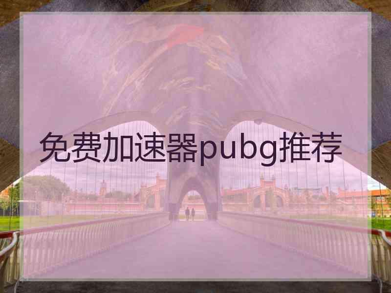免费加速器pubg推荐 免费加速器pubg推荐