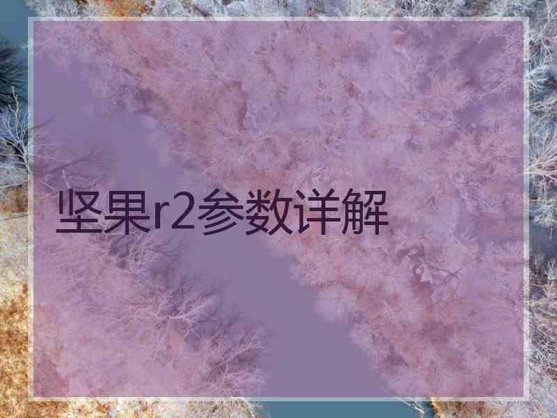 坚果r2参数详解 坚果r2参数详解