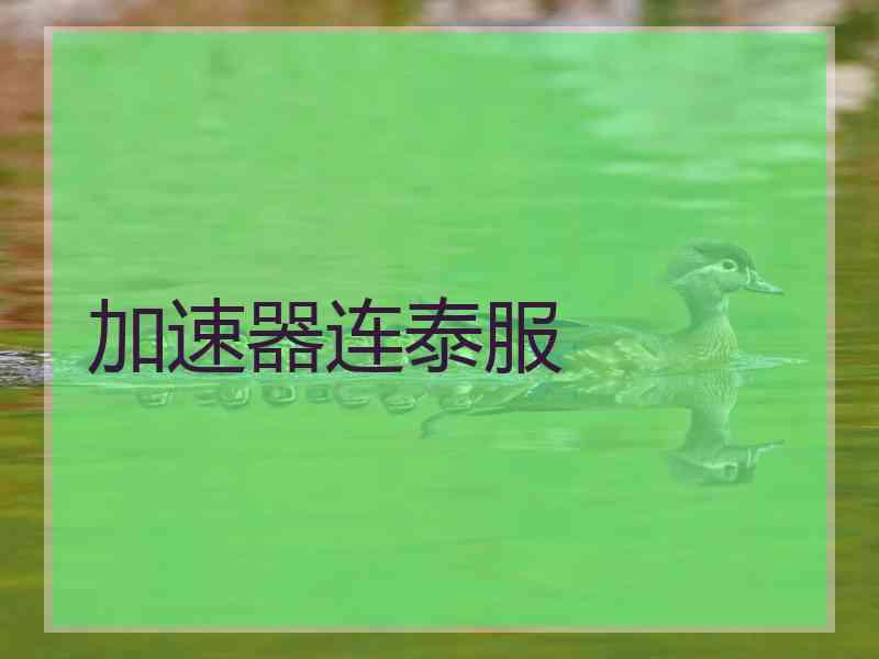 加速器连泰服 加速器连泰服