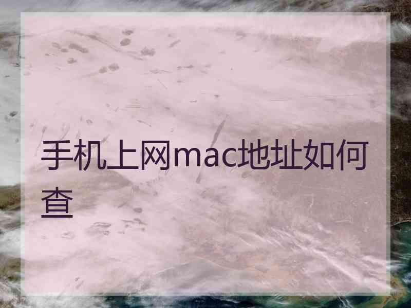 手机上网mac地址如何查 手机上网mac地址如何查