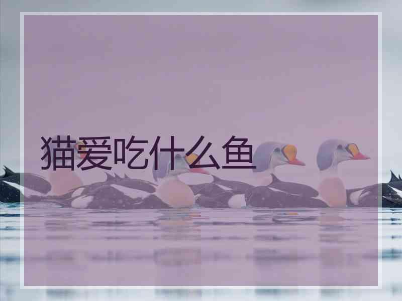 猫爱吃什么鱼 猫爱吃什么鱼