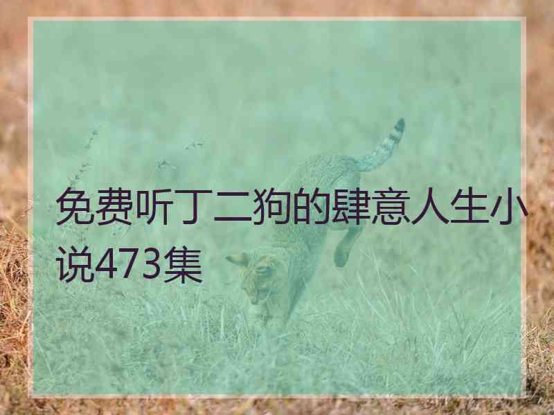 免费听丁二狗的肆意人生小说473集 免费听丁二狗的肆意人生小说473集