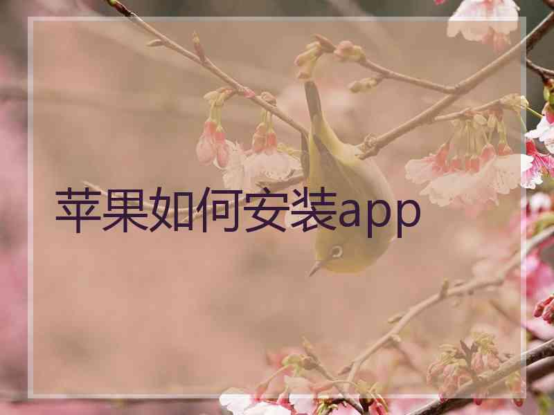 苹果如何安装app 苹果如何安装app
