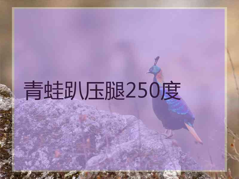 青蛙趴压腿250度 青蛙趴压腿250度