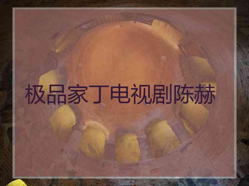 极品家丁电视剧陈赫 极品家丁电视剧陈赫