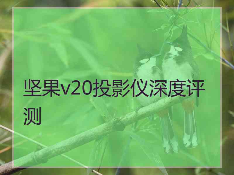 坚果v20投影仪深度评测 坚果v20投影仪深度评测