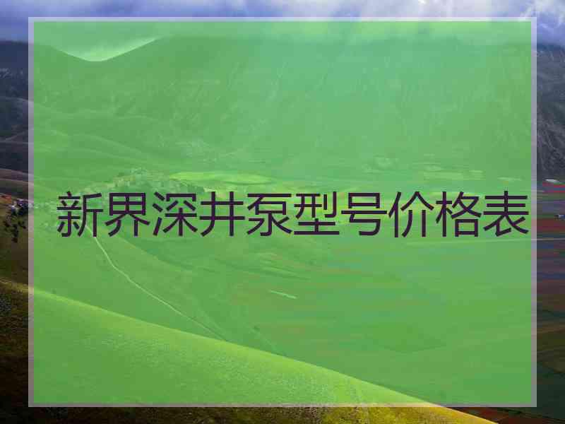 新界深井泵型号价格表 新界深井泵型号价格表