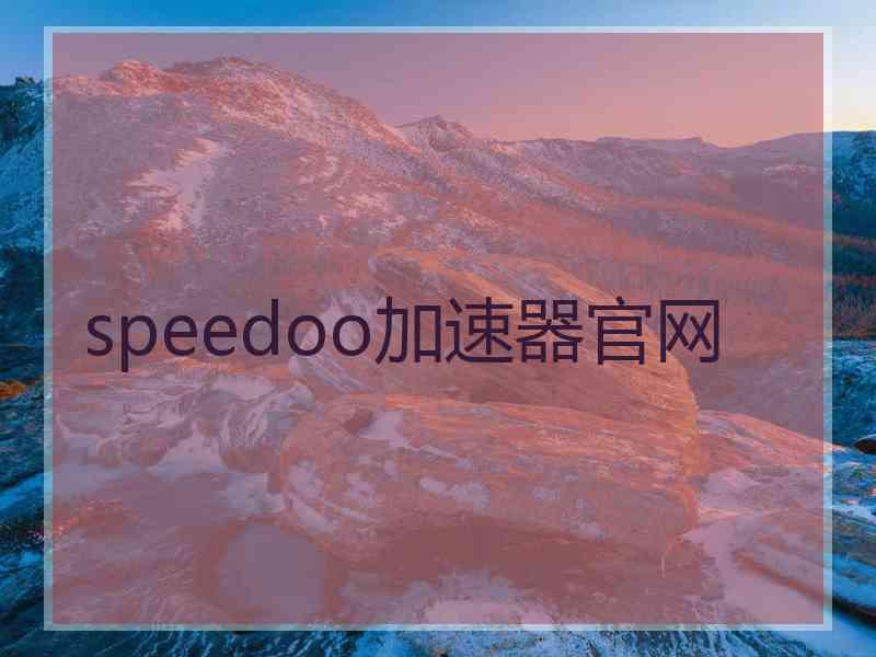 speedoo加速器官网