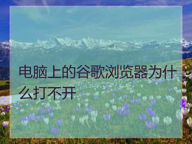 电脑上的谷歌浏览器为什么打不开 电脑上的谷歌浏览器为什么打不开
