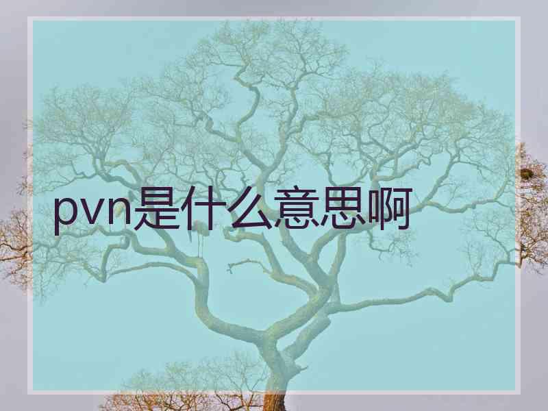 pvn是什么意思啊 pvn是什么意思啊