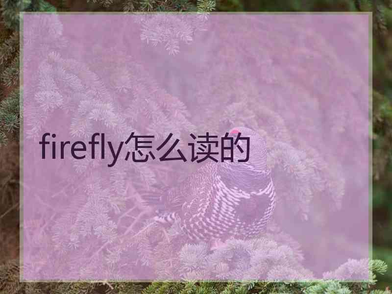 firefly怎么读的