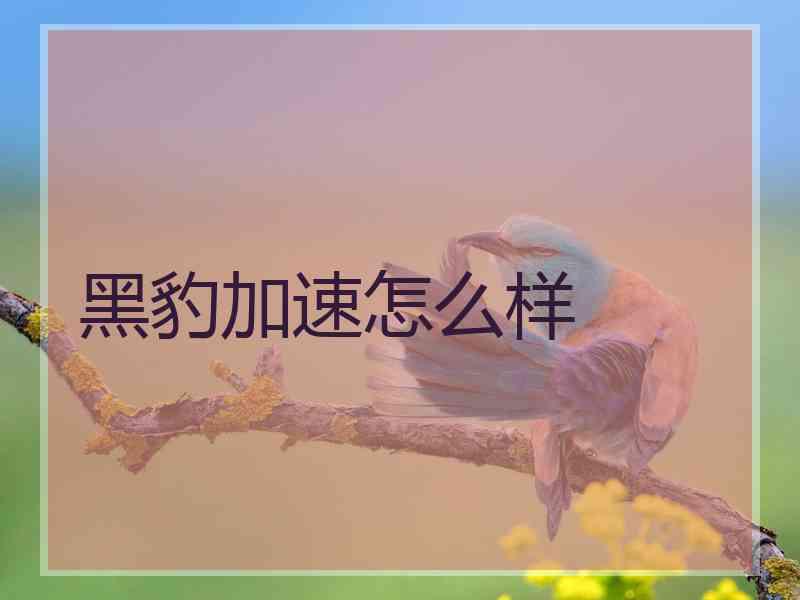 黑豹加速怎么样 黑豹加速怎么样