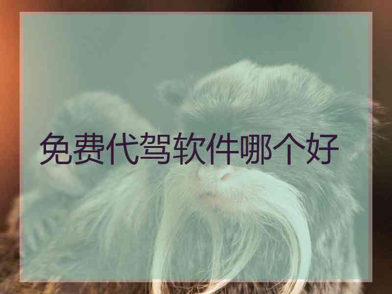 免费代驾软件哪个好 免费代驾软件哪个好