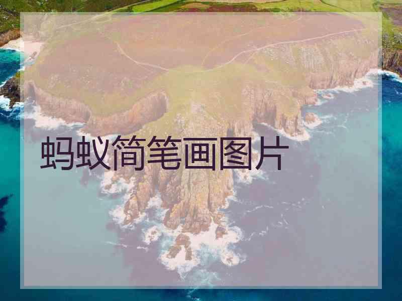 蚂蚁简笔画图片 蚂蚁简笔画图片