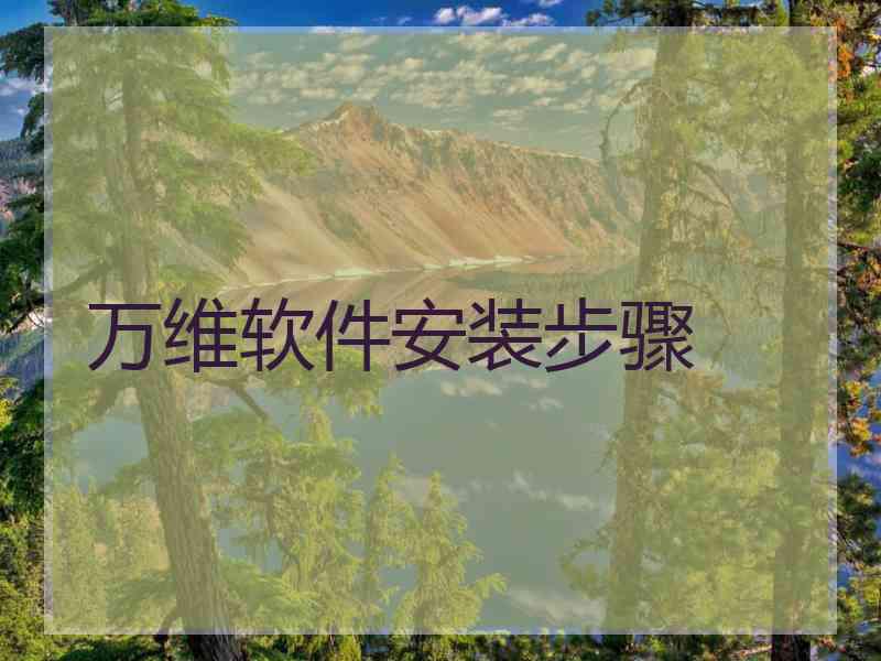 万维软件安装步骤 万维软件安装步骤