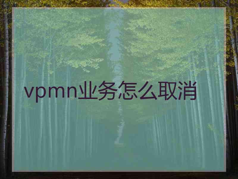 vpmn业务怎么取消 vpmn业务怎么取消