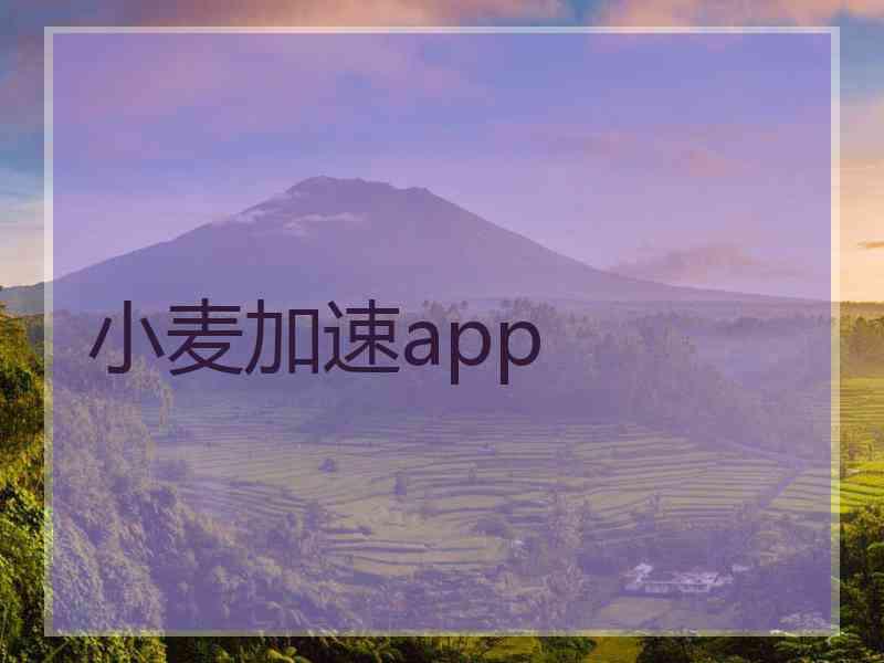 小麦加速app 小麦加速app