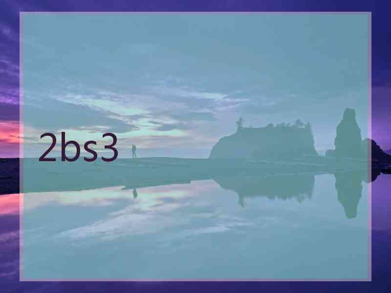 2bs3