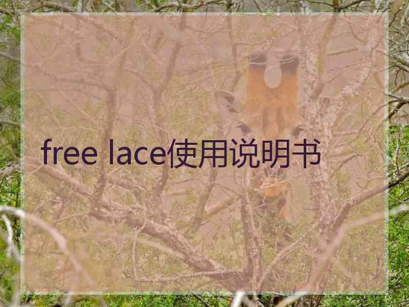 free lace使用说明书
