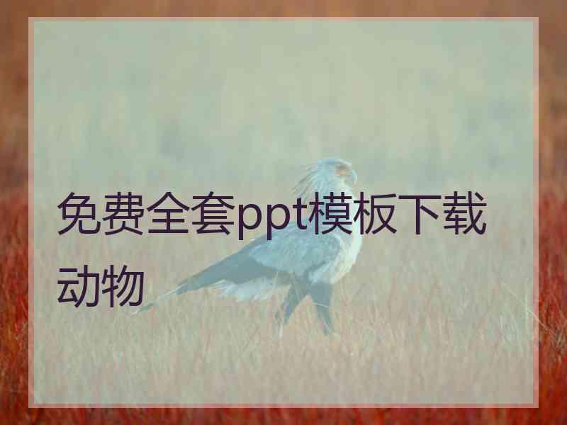 免费全套ppt模板下载动物 免费全套ppt模板下载动物