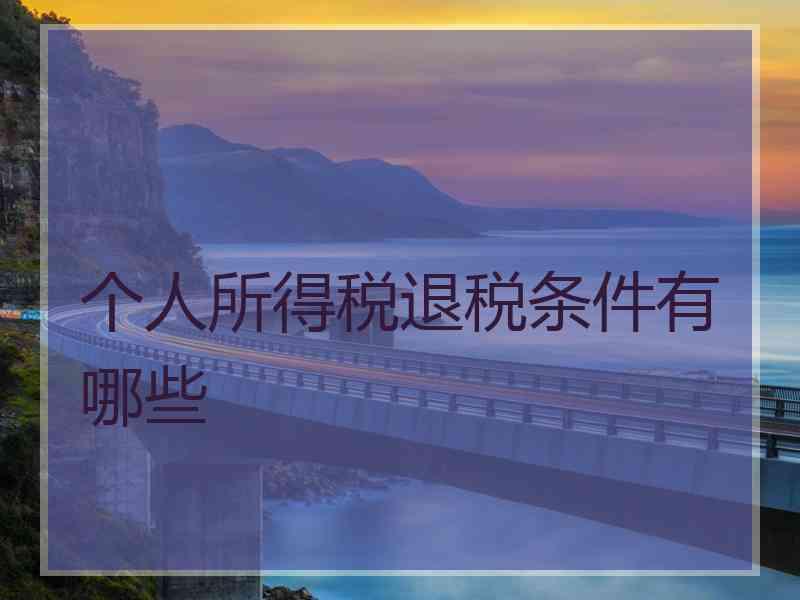 个人所得税退税条件有哪些 个人所得税退税条件有哪些