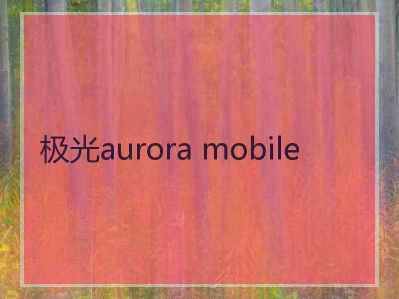 极光aurora mobile
