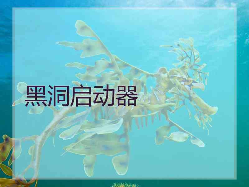 黑洞启动器 黑洞启动器