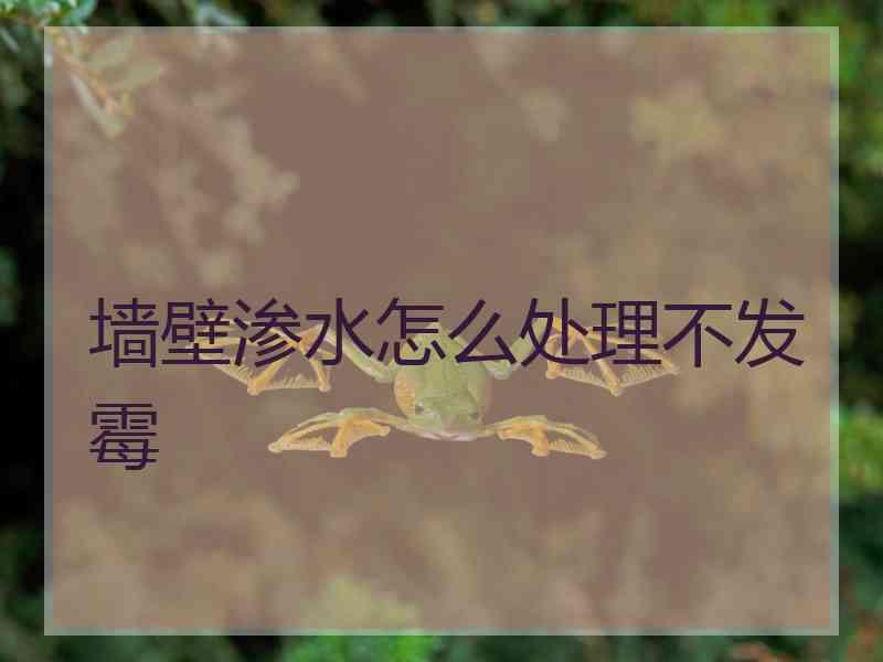 墙壁渗水怎么处理不发霉 墙壁渗水怎么处理不发霉