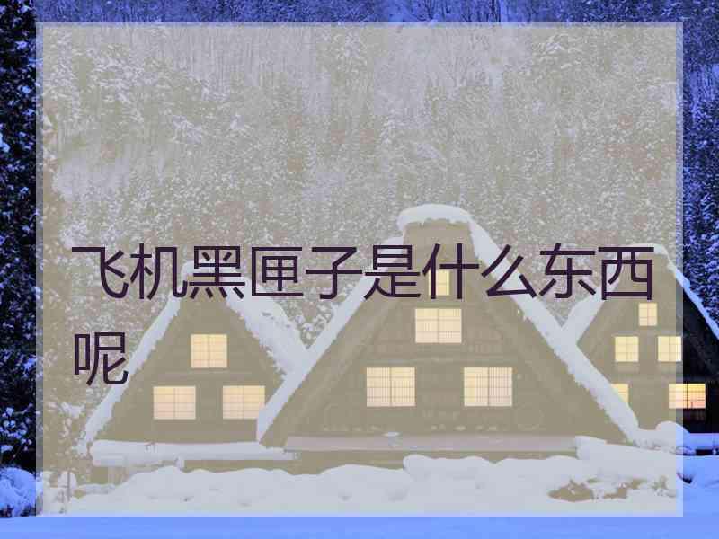 飞机黑匣子是什么东西呢 飞机黑匣子是什么东西呢
