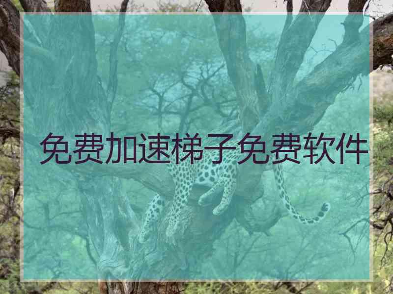 免费加速梯子免费软件 免费加速梯子免费软件