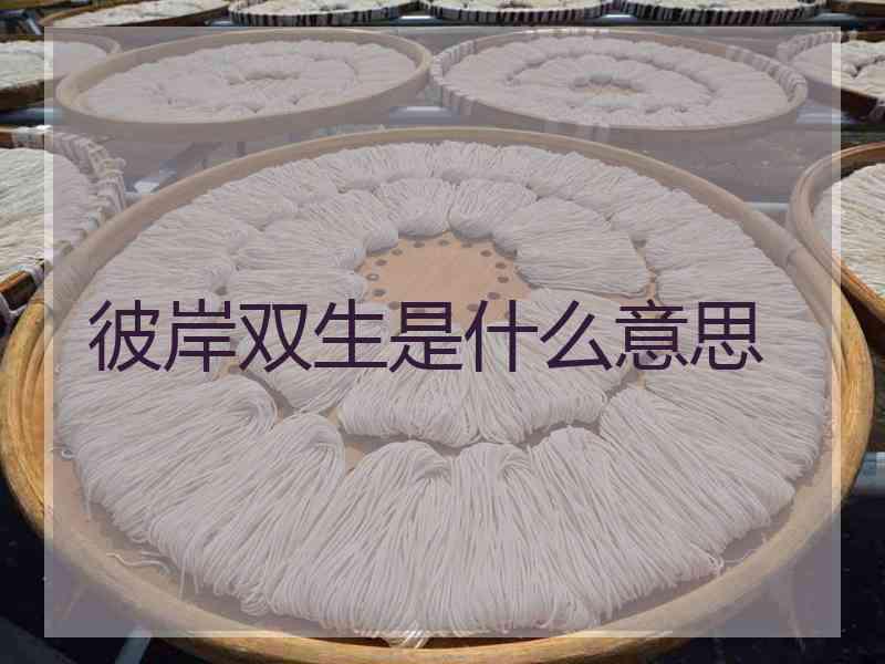彼岸双生是什么意思 彼岸双生是什么意思