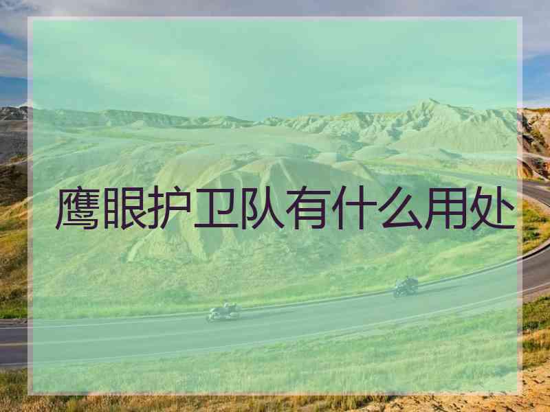 鹰眼护卫队有什么用处 鹰眼护卫队有什么用处