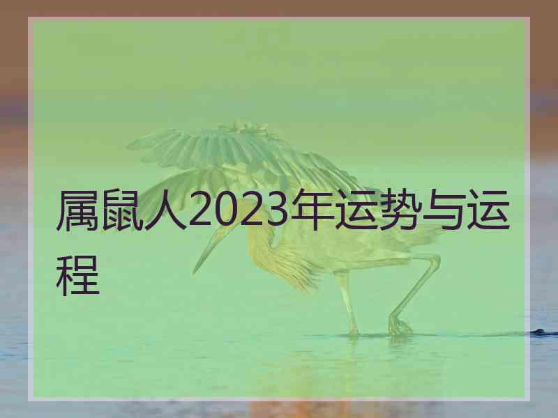 属鼠人2023年运势与运程 属鼠人2023年运势与运程