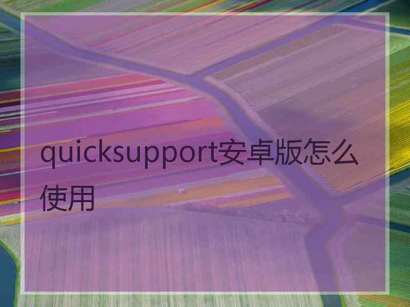 quicksupport安卓版怎么使用