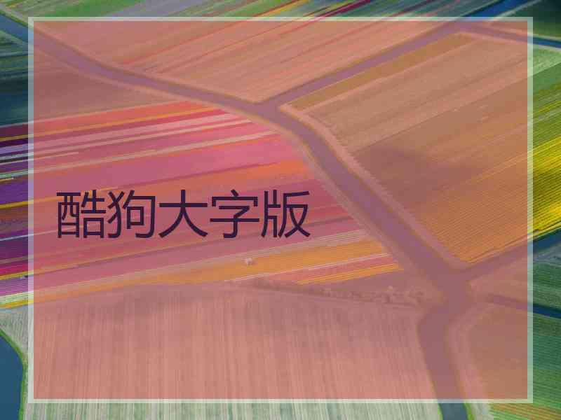酷狗大字版 酷狗大字版