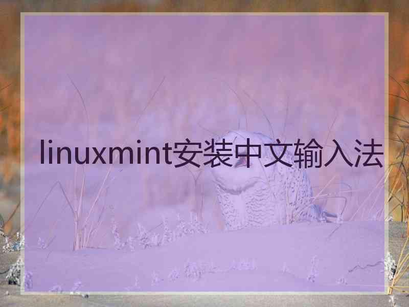 linuxmint安装中文输入法 linuxmint安装中文输入法