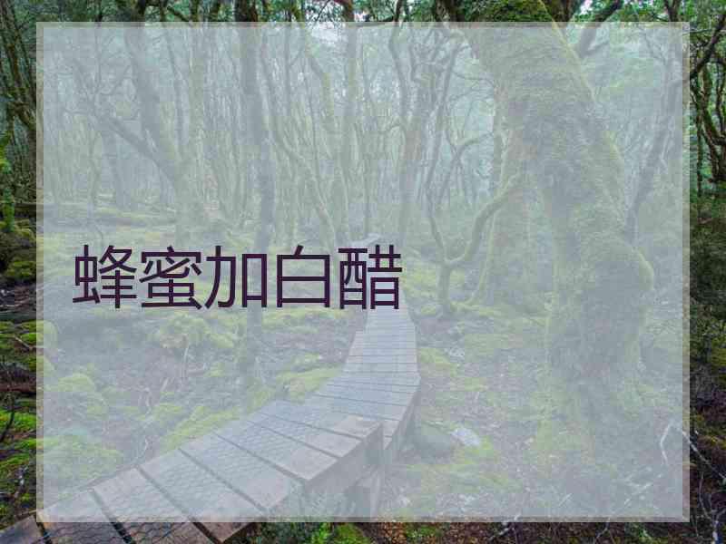 蜂蜜加白醋 蜂蜜加白醋