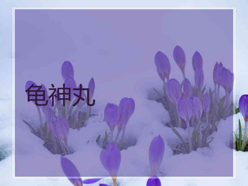 龟神丸 龟神丸