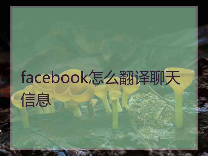 facebook怎么翻译聊天信息 facebook怎么翻译聊天信息