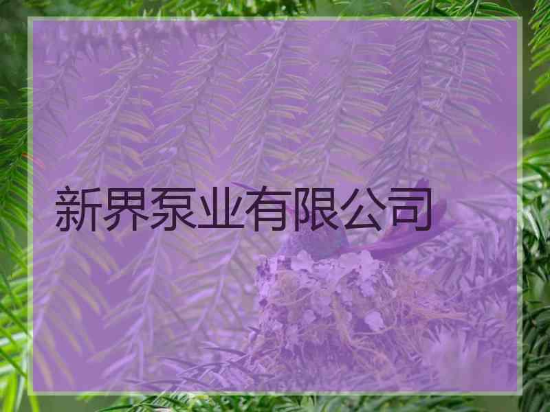 新界泵业有限公司 新界泵业有限公司