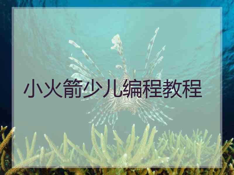 小火箭少儿编程教程 小火箭少儿编程教程