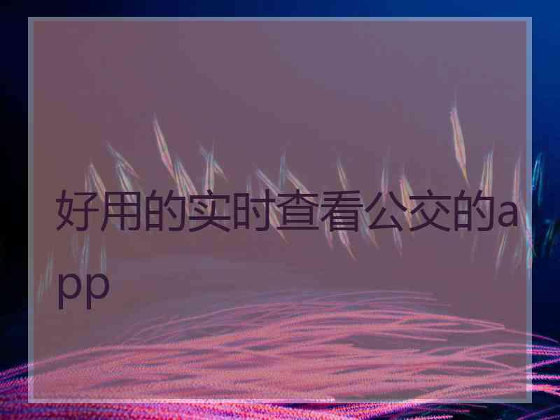 好用的实时查看公交的app 好用的实时查看公交的app