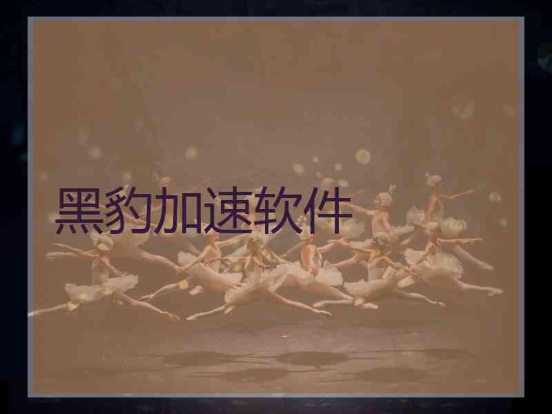 黑豹加速软件 黑豹加速软件