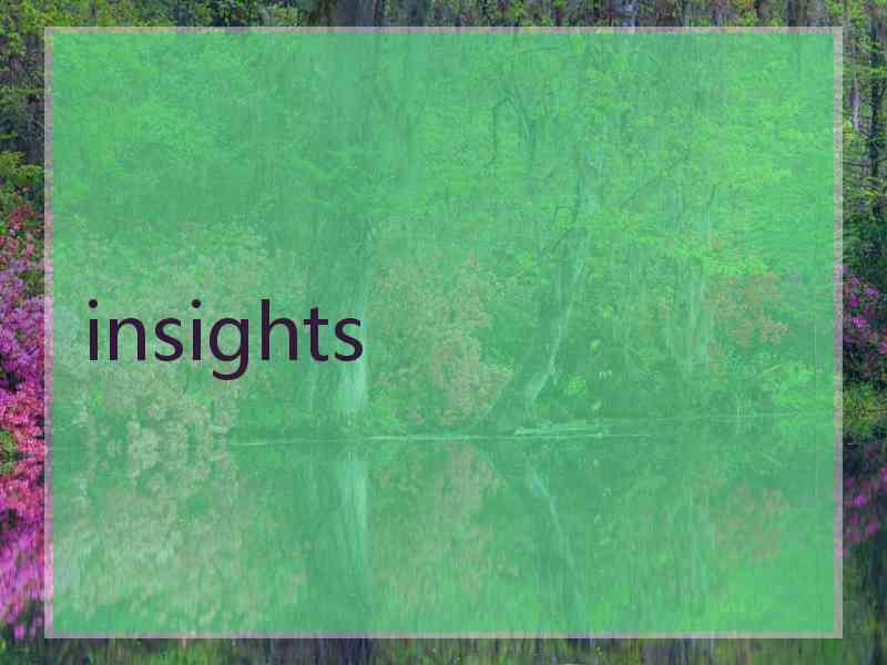 insights insights