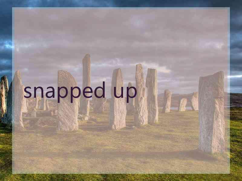 snapped up snapped up