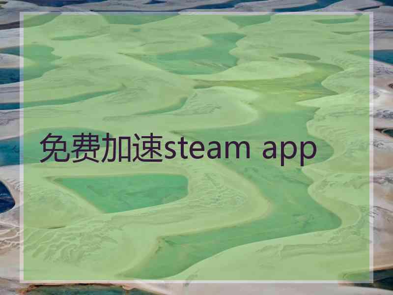 免费加速steam app