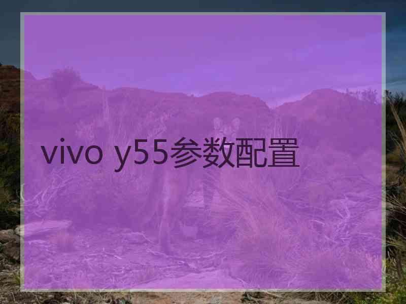vivo y55参数配置 vivo y55参数配置