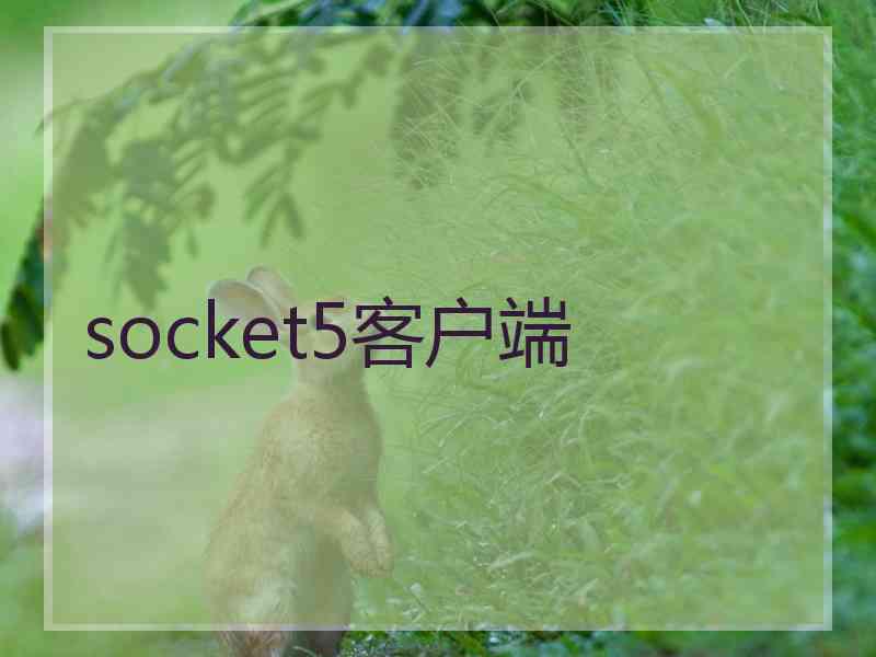 socket5客户端 socket5客户端